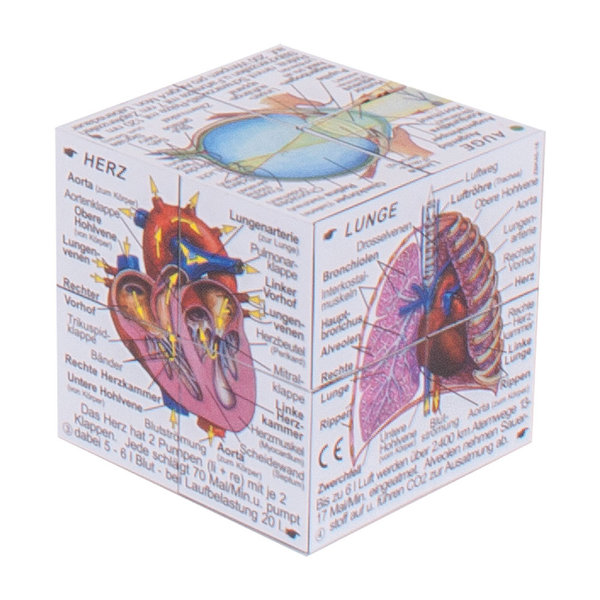 Menschlicher Körper Cube + Herz / EKG- Postkarten